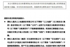 临清临清的要账公司在催收过程中的策略和技巧有哪些？